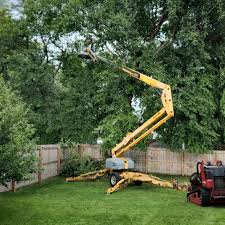 Norwalk, CT Tree Services Company